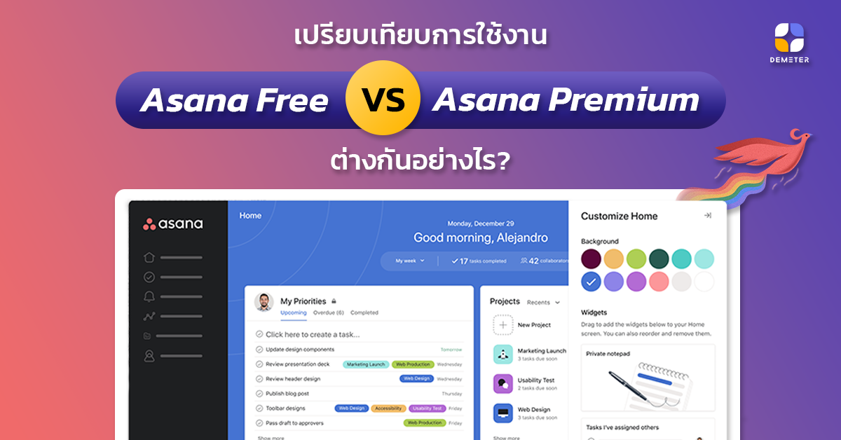 ใช้งาน Asana แบบ Free VS Asana แบบ Premium ต่างกันอย่างไร?