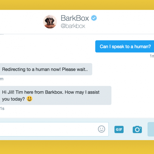 Zendesk partners with BarkBox3